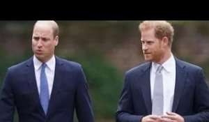 Le départ du prince Harry "vraiment mauvais" pour la santé mentale de William "a perdu son meilleur