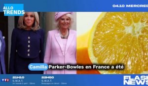 Charles III et Camilla Parker-Bowles au cœur d'une altercation conjugale à Paris, Brigitte Macron impliquée ?