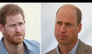 Il principe Harry vuole le scuse della famiglia reale, ma il principe William non sa perché