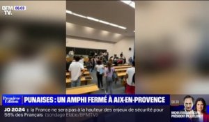 Punaises de lit: un amphithéâtre évacué par précaution à Aix-en-Provence