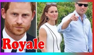 Famille royale: Kate et William font une nouvelle emb@uche pour s'attaquer au «prince p ***ed off»