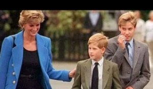 Diana "aurait aidé les princes à faire la paix", dit un ancien garde du corps