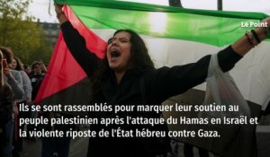 Rassemblement pro-Palestine : « Pour Israël, ils peuvent manifester, alors pourquoi pas nous ? »