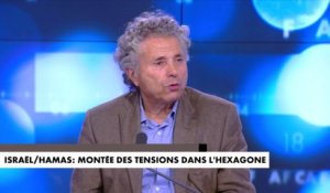 Gilles-William Goldnadel : «Monsieur Mélenchon est devenu le porte-parole du Hamas en France»