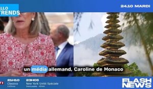 Le mystère de Caroline de Monaco : Une liaison secrète avec Vincent Bollore ?