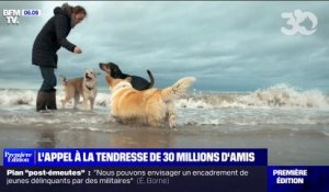 30 Millions d'Amis et la chanteuse Pomme s'associent pour un appel à la tendresse envers les animaux