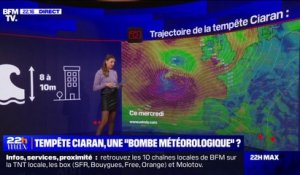 LES ÉCLAIREURS - Tempête Ciaran: à quoi s'attendre?