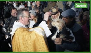 Saint Hubert fêté avec la bénédiction des animaux