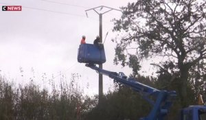 Tempête Ciaran : les équipes d'Enedis mobilisées