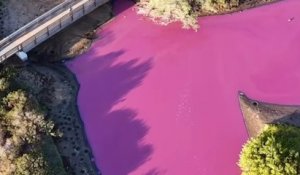 À Hawaï, la couleur d’un étang vire au rose fluo (et ce n’est pas du tout une bonne nouvelle)