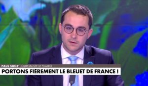 Paul Sugy : «Il y a des centaines de quêteurs, qui le jour de l'Armistice vendent des bleuets partout en France au profit de la fondation du Bleuet de France, qui aide les victimes des conflits armés»