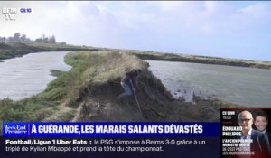 Les marais salants de Guérande dévastés par les tempêtes successives