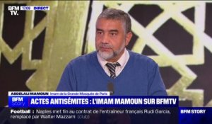 Pour Abdelali Mamoun, imam de la Grande Mosquée de Paris, la marche contre l'antisémitisme pointait les musulmans