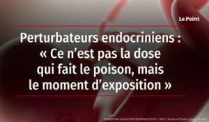 Perturbateur endocrinien : « Ce n’est pas la dose qui fait le poison, mais le moment d’exposition »