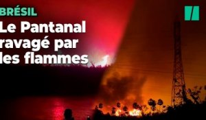 Au Brésil, la plus grande zone humide du monde en proie à des incendies "hors de contrôle"