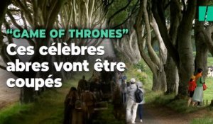 Les arbres de la Dark Hedges, lieu de tournage de « Game of Thrones », doivent être coupés