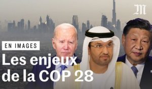 COP 28 : comprendre les trois sujets de crispation qui seront au coeur des débats