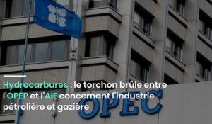 Hydrocarbures : le torchon brûle entre l'OPEP et l'AIE concernant l'industrie pétrolière et gazière