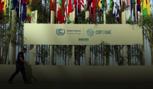 À la COP28, la brutale prise de conscience d’un renversement géopolitique