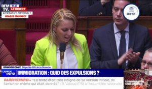 Loi iimmigration rejetée: "Vous avez proposé un texte qui aurait permis la création de nouvelles filières d'immigration", déclare Edwige Diaz (RN)