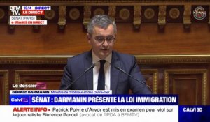 Loi Immigration: "Des mesures sont manifestement contraires à la Constitution" déclare Gérald Darmanin à la tribune du Sénat