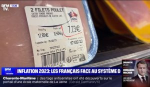 Les Français face à l'inflation en 2023