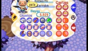 Animal Crossing online multiplayer - ngc