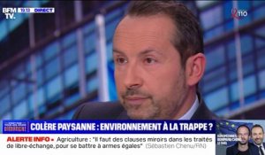Écologie: "Les objectifs donnés aujourd'hui sont beaucoup trop importants dans leur rythme et dans leur volume", affirme Sébastien Chenu (RN)