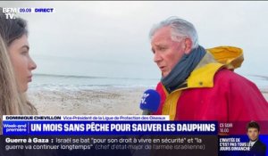 Pêche interdite dans le golfe de Gascogne: "Depuis 2016, on a une intensification considérable des captures" de dauphins, affirme Dominique Chevillon (LPO)