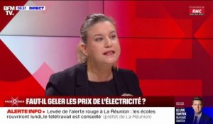 Mathilde Panot "demande au gouvernement de renoncer à la hausse de 10% sur les prix de l'électricité"