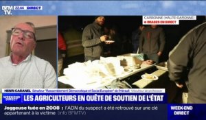 Colère des agriculteurs: "La première des problématiques, c'est le revenu", affirme Henri Cabanel (sénateur "Rassemblement Démocratique et Social Européen" de l'Hérault)