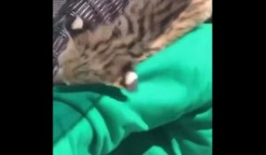 Young Thug Buys Baby Cheetah