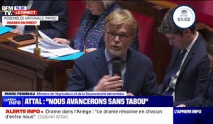 Agricultrice morte en Ariège: "Vous n'êtes jamais en retard sur une démagogie ou une récupération" répond Marc Fesneau à un député RN