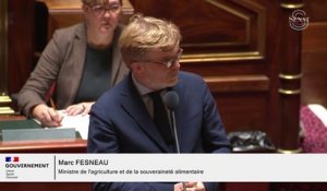 "Elle défendait la fierté de son métier": Marc Fesneau rend hommage au Sénat à l'agricultrice tuée en Ariège