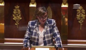 Pascale Borde (RN) juge "inappropriée et inutile" l'inscription de l'IVG dans la Constitution
