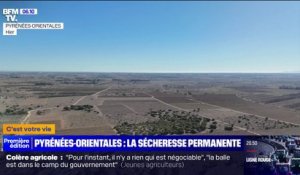 Deux ans de sécheresse, même en hiver: les Pyrénées-Orientales complètement asséchées
