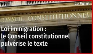 Loi immigration : le Conseil constitutionnel pulvérise le texte