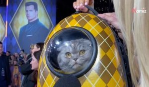 Claudia Schiffer : son chat lui vole la vedette à l’avant-première du film « Argylle »