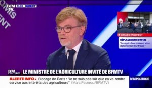 Agriculture et environnement: Marc Fesneau réfute "un double discours" et pointe "l'incohérence des réglementations"