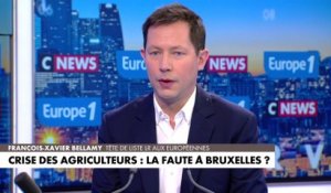 François-Xavier Bellamy : «La Commission Européenne est responsable de la situation actuelle»