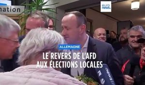 Un revers électoral pour l'AfD en Allemagne