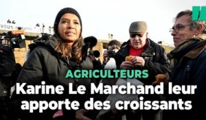 Blocages des agriculteurs près de Paris : Karine Le Marchand leur apporte des croissants