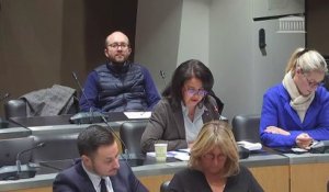 Commission des affaires culturelles : Table ronde sur le thème « Éducation populaire : périmètre et enjeux » - Mercredi 31 janvier 2024