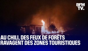 Au Chili, de violents feux de forêts ravagent des zones touristiques