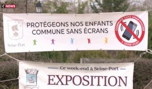 Seine-et-Marne : le maire d'une commune veut interdire le téléphone portable sur la voie publique