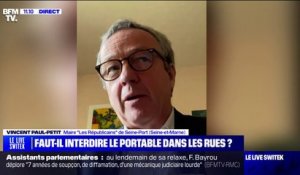 "Créer du lien social et protéger les enfants": le maire de Seine-Port (Seine-et-Marne) justifie l'interdiction des téléphones dans une partie de sa commune