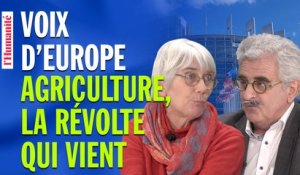 Agriculture : ce modèle agricole aberrant que l'Europe a décidé de soutenir