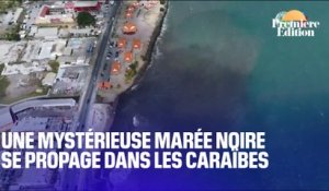 Une mystérieuse marée noire ravage les îles Trinité-et-Tobago dans les Caraïbes