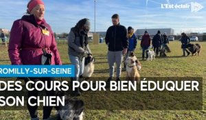 Des cours pour bien éduquer son chien à Romilly-sur-Seine