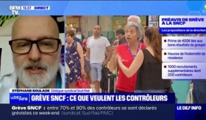 Grève SNCF: "Les propositions faites par la direction sont complètement hors sujet" estime Stéphane Boulade (Sud-Rail)